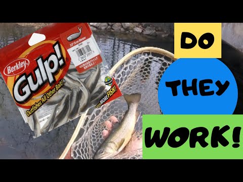 How to RIG,USE,SETUP, and FISH the BERKLEY GULP MINNOW