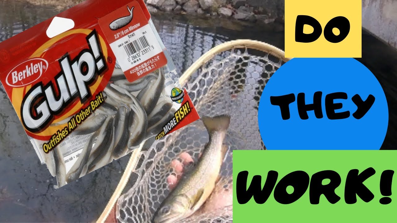 How to RIG,USE,SETUP, and FISH the BERKLEY GULP MINNOW 