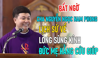 TIN MỚI! CHA NGUYỄN NGỌC NAM PHONG, DCCT CHIA SẺ VỀ ĐỨC MẸ HẰNG CỨU GIÚP