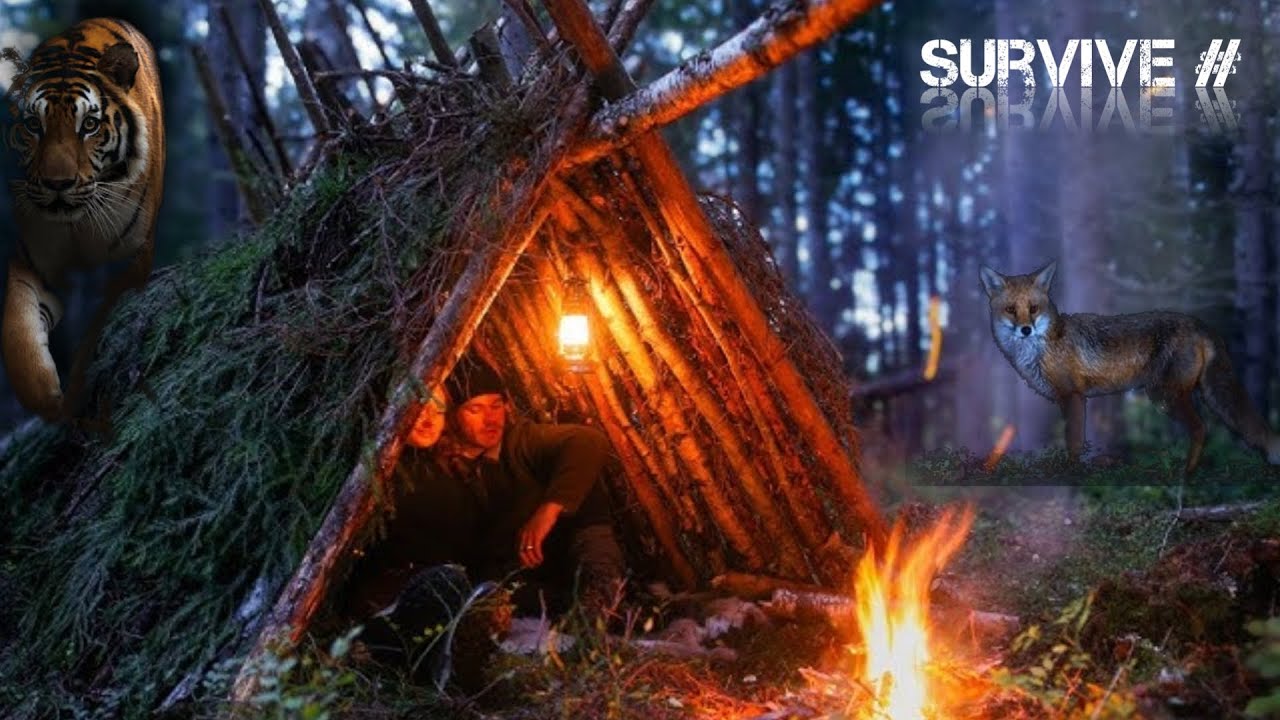 Extreme Night Survive in Forest: Jungle mein banaya Bushka Shelter!