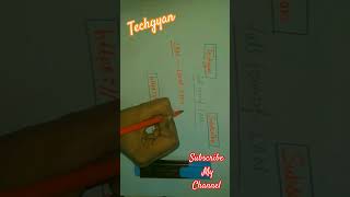Full Form of LAN | Networking Full Forms #techgyan_hub #shorts #viralvideo #networking