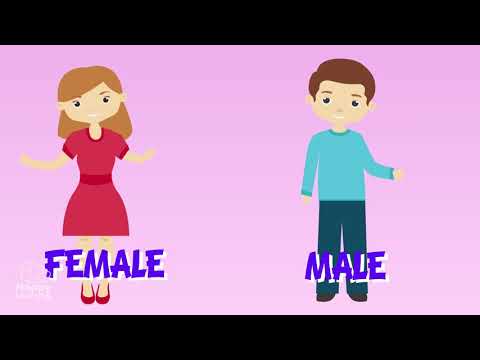 The Human Reproduction  Educational Video for Kids