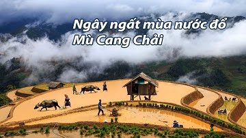 Ngây ngất với vẻ đẹp Mùa nước đổ ở Mù Cang Chải- trốn tiên cảnh trần gian chỉ có một- Tập 1
