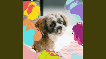 Pulsating Ambiance for Well Behaved Doggies