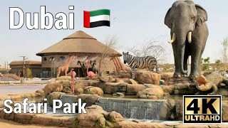 Dubai  Safari Park Adventure 2024 4K