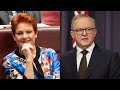 Albanese trying to ‘spin’ One Nation’s momentum to cope with Pauline’s popularity