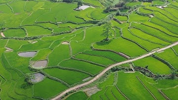 Trạm Tấu – vẻ đẹp bị lãng quên giữa núi rừng  Tây Bắc - Tram Tau, a hidden gem in the highlands