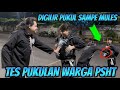 TANTANGAN TES PUKULAN WARGA PSHT, ENDINGNYA MULES😲 #pencaksilat #psht