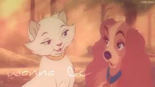 💖Boyfriend💖 FULL MEP