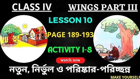 Class 4 Wings | Wings Class 4 | Class 4 Wings Part 3, Lesson 10 | Class 4 English | @Make Yourself