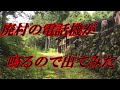 廃村にあったかかってくるはずもない電話機が鳴った