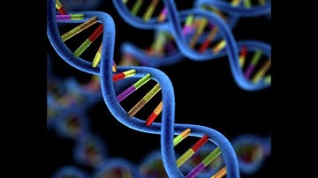 LIVE Session -  Functional Genomics