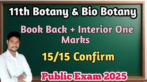 11th Bio Botany & Botany Interior One Marks Answer Download Pdf