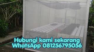 Mini Green House Hidroponik! Testimoni hasilnya.