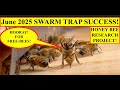 SWARM TRAP SUCCESS JUNE 2025! RESEARCH PROJECT TESTS HONEY BEES FOR KILLER BEE GENETICS IN USA!
