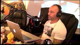 Joe Rogan Experience #204 - Amy Schumer