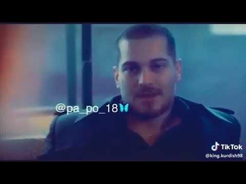 نا هار كاسيكي كل من هاتو جو يعني حش من ات كت اتبيد او كل من بيدو بجيت تا بيدا سلام