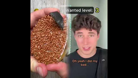 POV Everyone has a wanted level 1-5, 5 being the most aggressive…PT.2 #tiktokuni #fypシ゚viral #pov