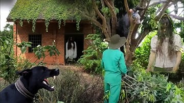 Abandoned House Nightmare: Deadly Trap - We Found a Demon Python in the Underground Cave