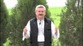 NELU PĂUCEAN - SUS PE MUNTELE CINDREL