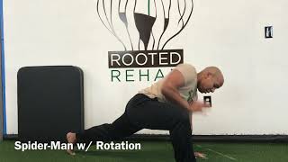 Rooted Rehab: Spider-Man with Rotation