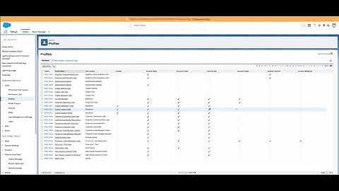 Inline edit Salesforce User Profile Permissions Quickly