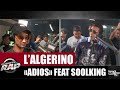 L Algérino Adios Feat Soolking 