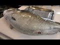 エサ?寄生虫?お腹がパンパンになった巨大魚の中身が衝撃的すぎた!!!