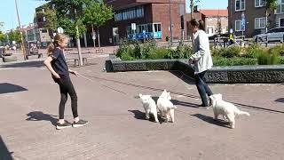 de drie meiden aan de lijn bij de winkels