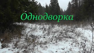 Однодворка