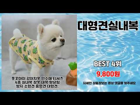 대형견실내복 추천 | 놓치면 후회할 초특가 대박템 | 구매 필수템   | 대세 핫딜템