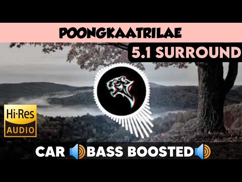 Poongkaatrilae |🎧 5.1 Surround 🎧| 🔊Bass Boosted🔊 | Sub  🔊Bass🔊 | by THARMi2005