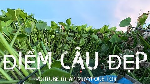 Tập 14 - Điểm Câu Còn Nhiều Loại Cá Tại KDT Gò Tháp