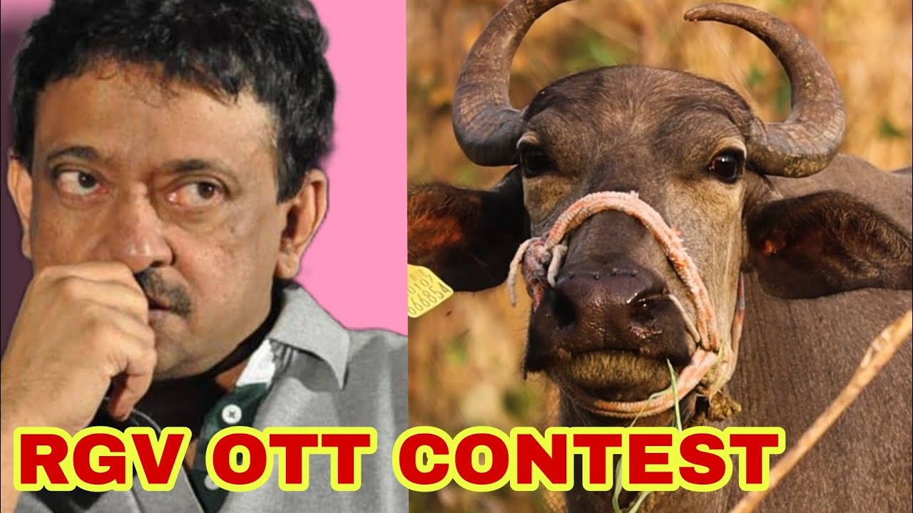 RGV SHORTFILM SPARK OTT GUNTINAGARAJU