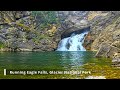 Hiking to Running Eagle Falls in Glacier National Park