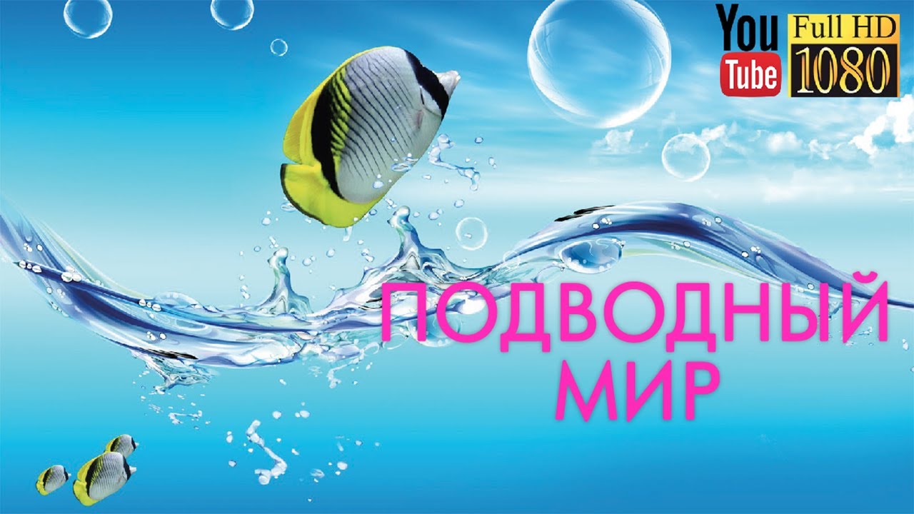 Лаунж музыка киев