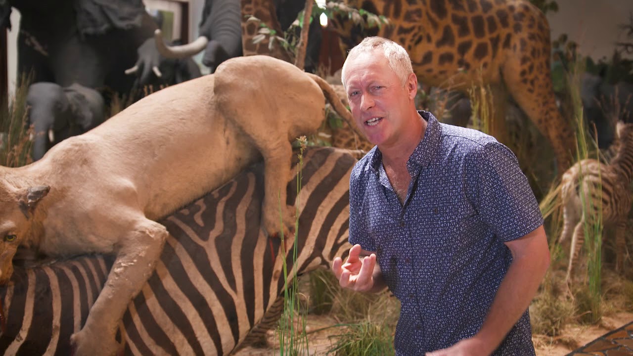 Explore TV - Maputo History and Culture