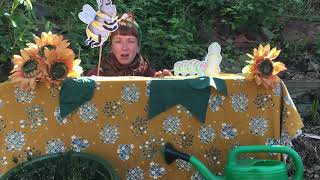 The Cautious Caterpillar (a Twinkl story)