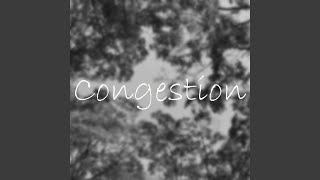 Congestion - Harinezumi
