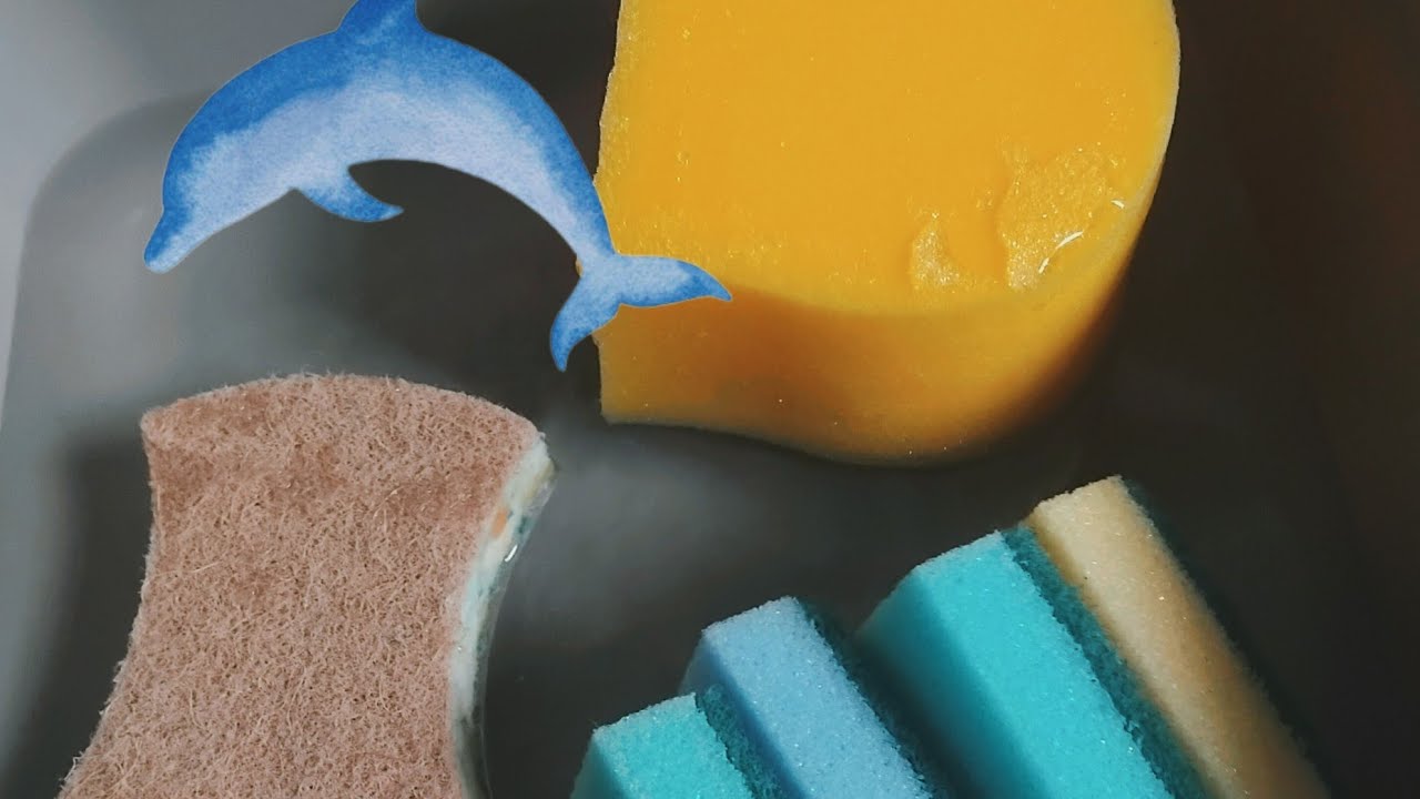 Car and Kitchen Sponges Squeezing and Ripping in Water 🐬🐠🩵💛💚