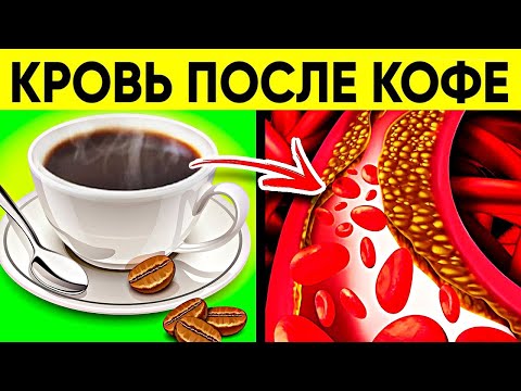 Вот Она - Правда! Реакция Сосудов На Кофе Вас Удивит