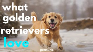 What Golden Retrievers Love