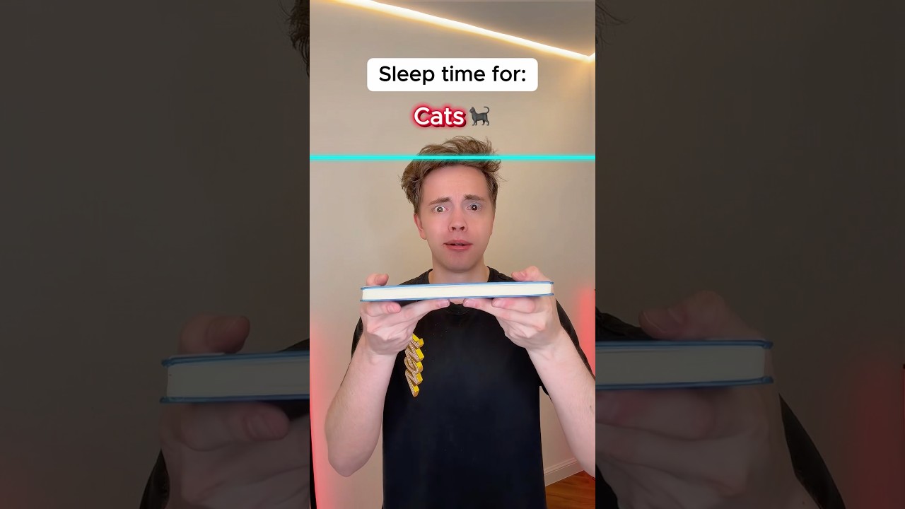 Sleep for Different Animals