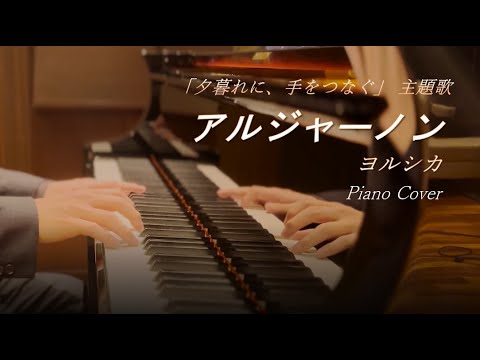ヨルシカ「アルジャーノン」ピアノカバー ｜『夕暮れに、手をつなぐ』主題歌 ｜Yorushika - Algernon piano cover