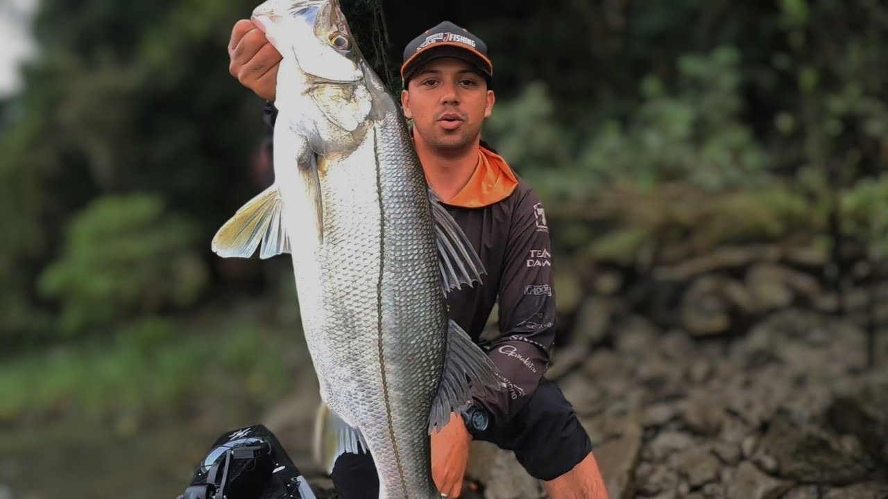 MAIOR ROBALO PEVA DA MINHA VIDA, 65 CM DE PURA EMOÇÃO. 🙏🏾🎣