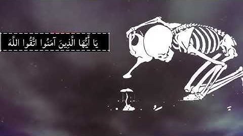 #حالات #واتساب #دينيه تلاوة خاشعة القرأن الكريم بصوت جميل جدا//الشيخ ياسر الدوسري//