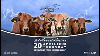 Sterkfontein Borane 3rd annual auction highlights 2023