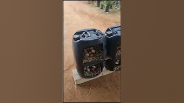 #creation ideas#chicken nest#very simple & easy#poultry #creative #satisfying #shorts