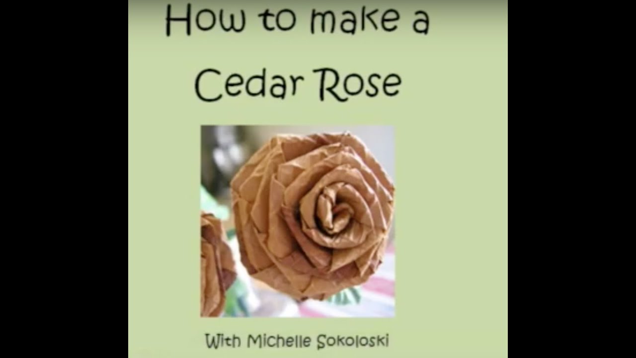 Cedar Rose Tutorial YouTube