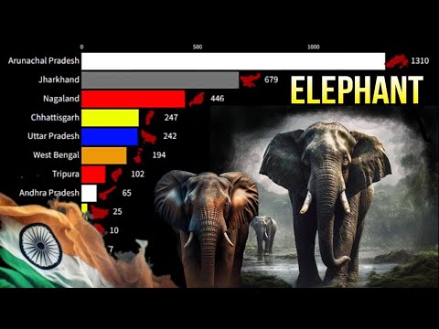 Elephant Population In India Indian States By Elephant Population Hqdefault